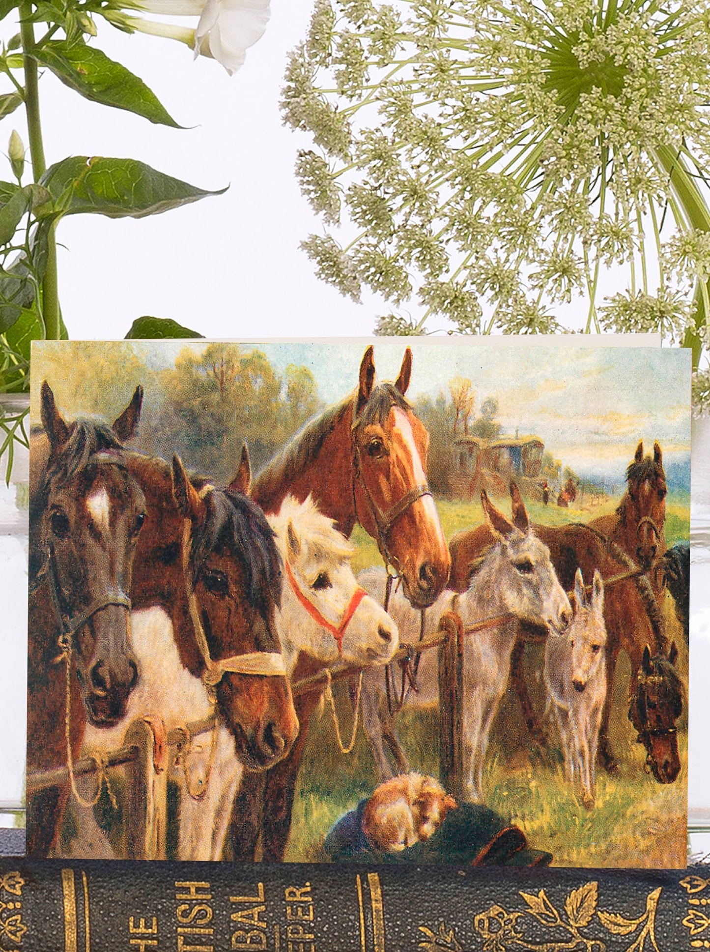 Horsies at the Gate