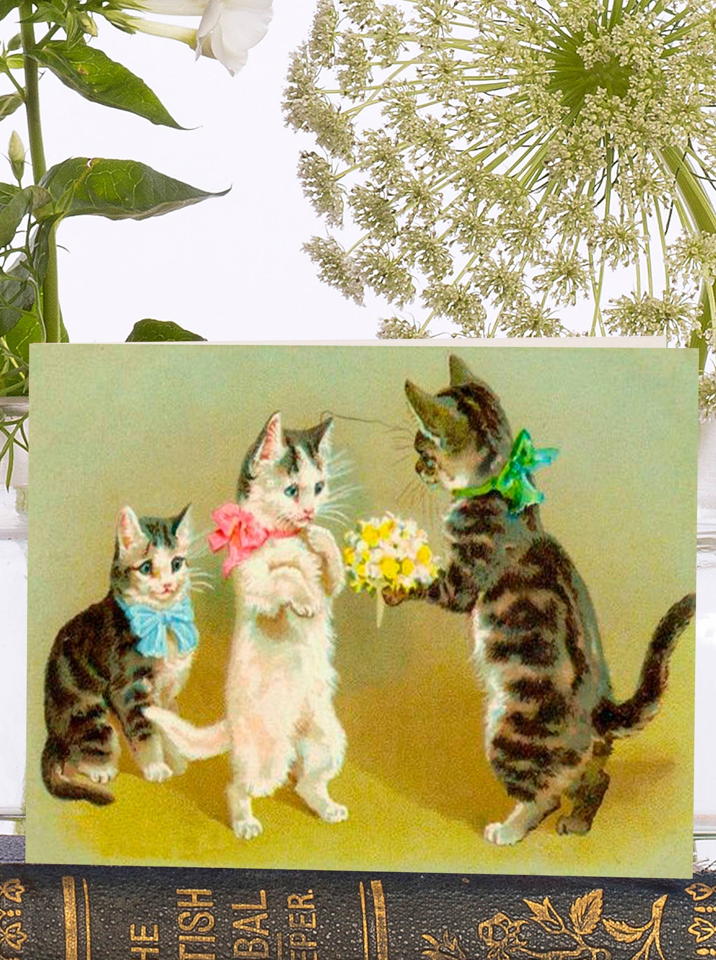 Cats like Flowers