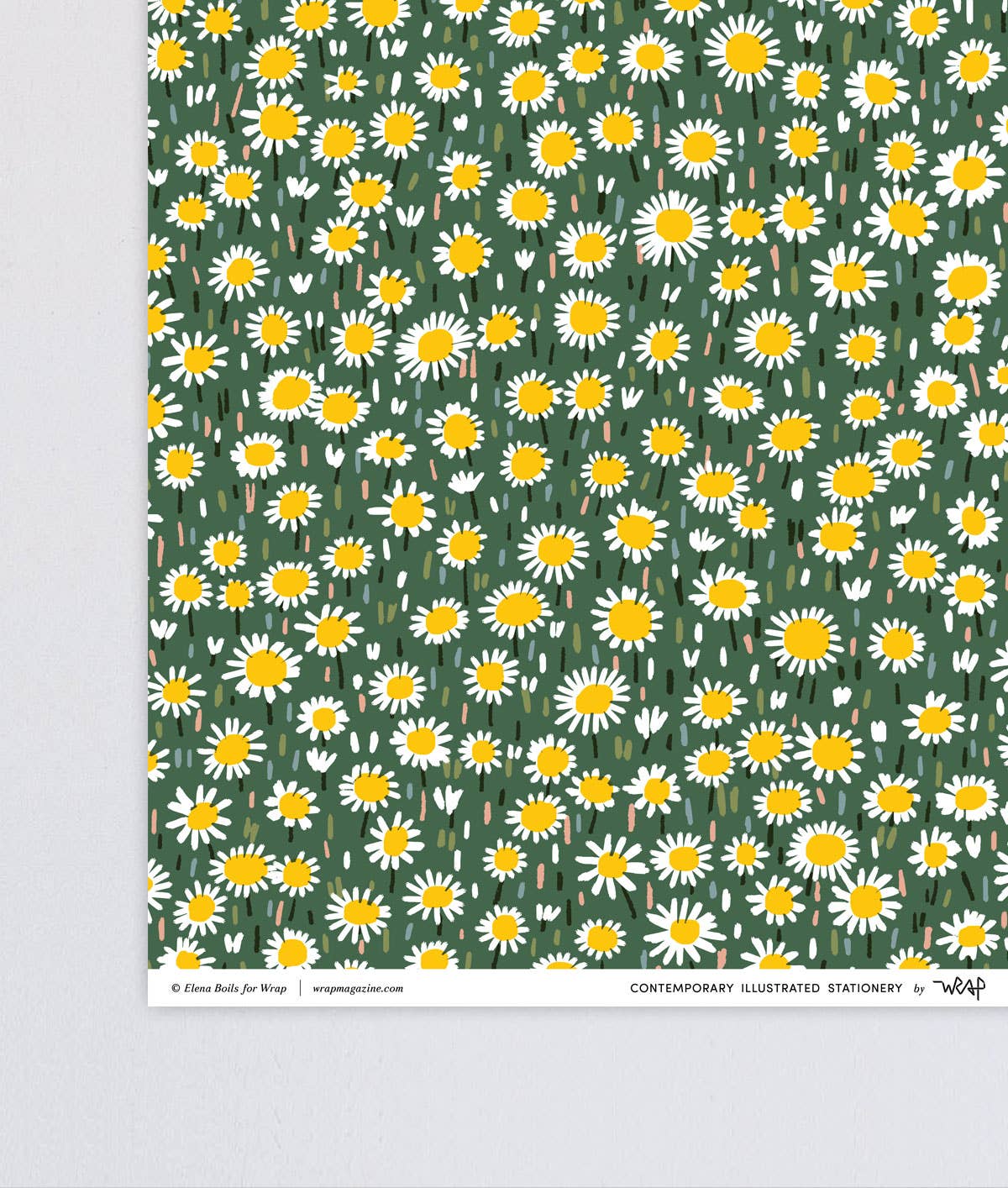 Daisies Gift Wrap