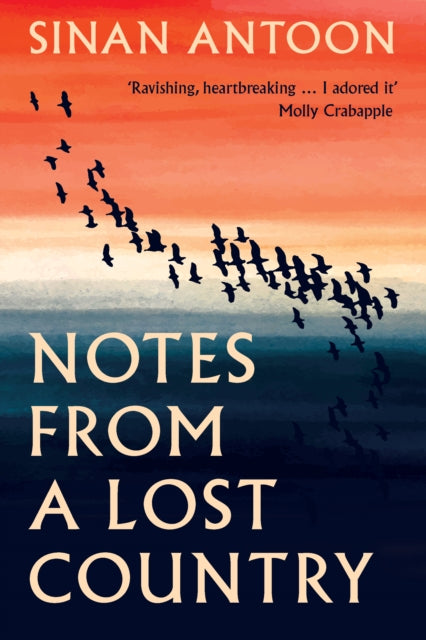 Notes from a Lost Country-9781849251235