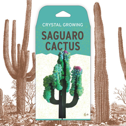Science Kit - Crystal Growing Saguaro Cactus | Craft Kit