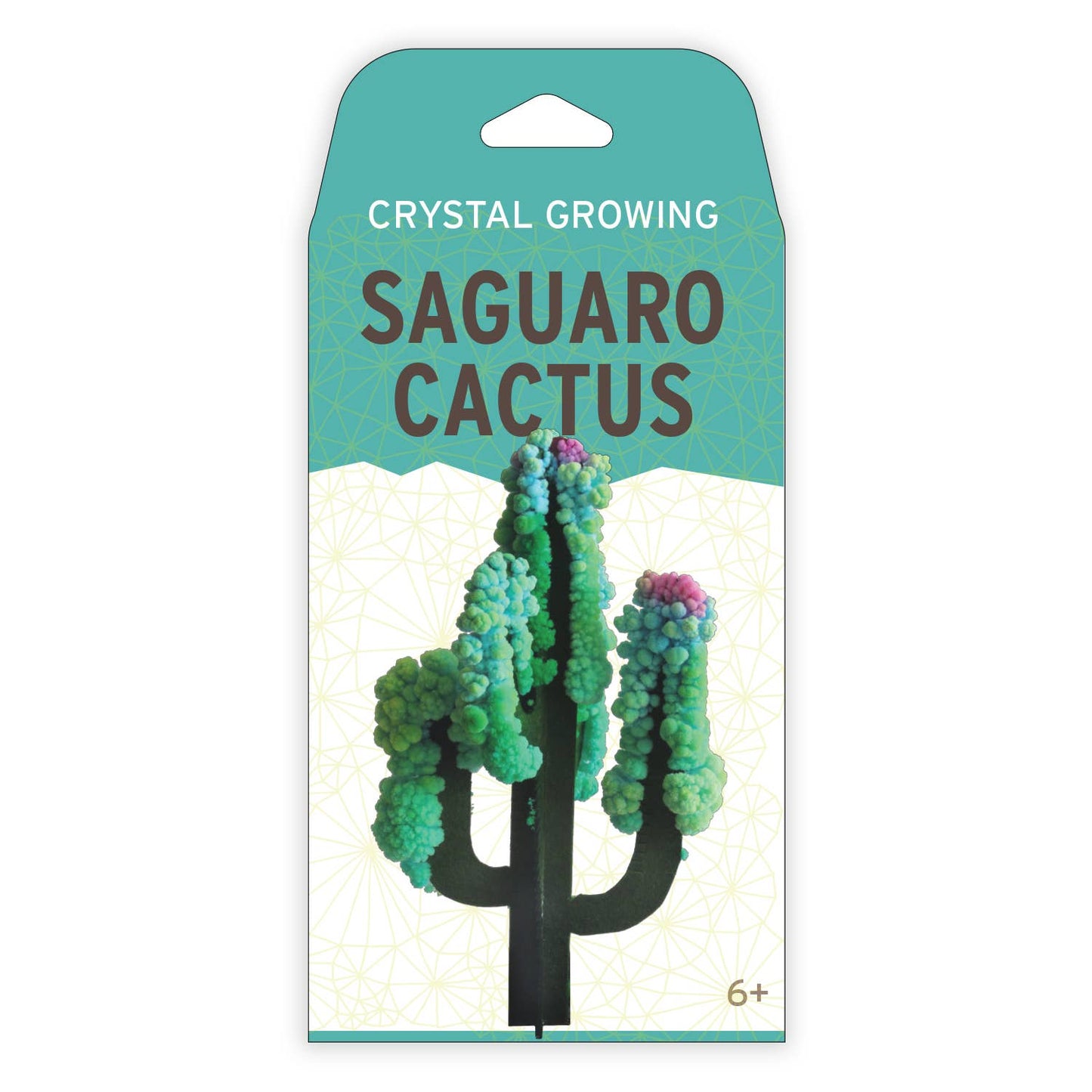 Science Kit - Crystal Growing Saguaro Cactus | Craft Kit