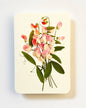 Pink Sweet Peas