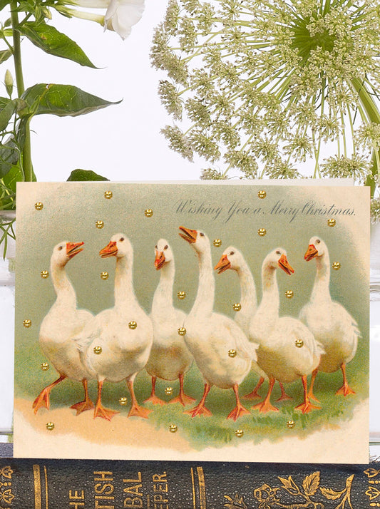 Glitter Geese at Christmas