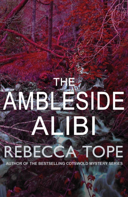 The Ambleside Alibi : The gripping English cosy crime series-9780749022600