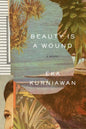 Beauty Is a Wound-9780811223638