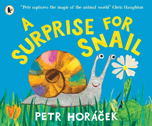 A Surprise for Snail-9781529525502