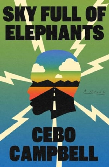 Sky Full of Elephants : A Novel-9781668034927