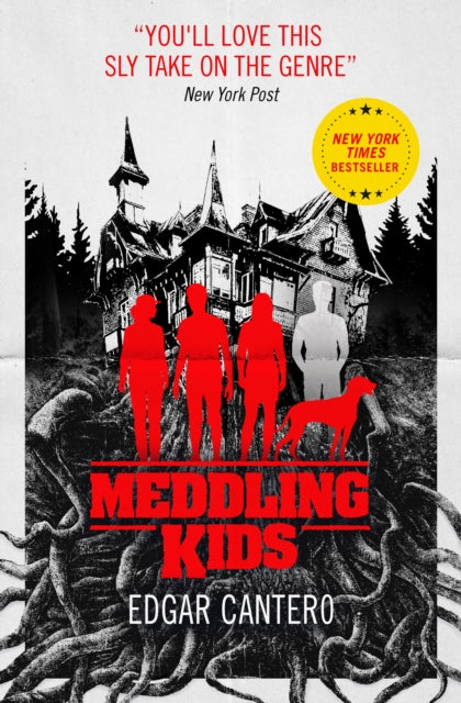 Meddling Kids-9781785658761