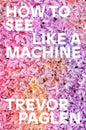 How to See Like a Machine: Images After AI