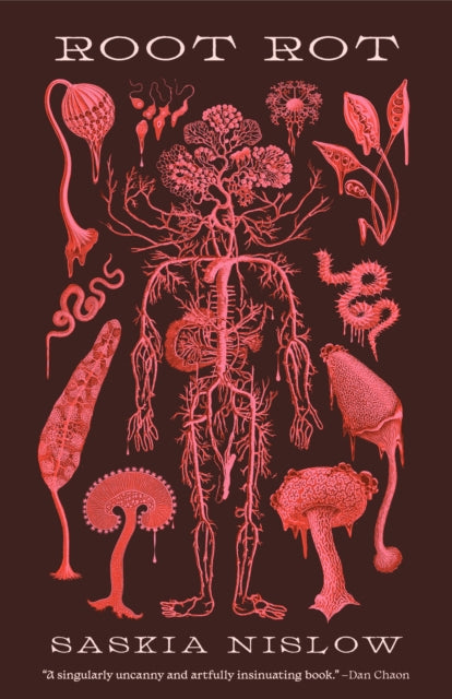 Root Rot-9781951971250