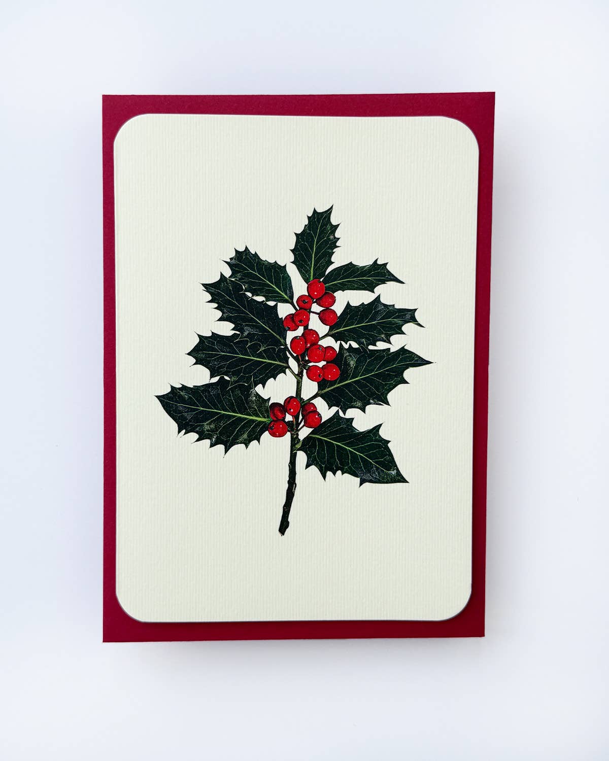 Christmas Holly
