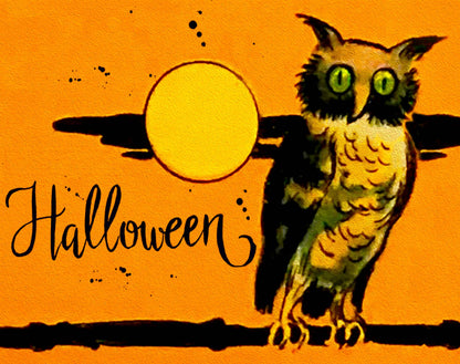 Halloween Owl