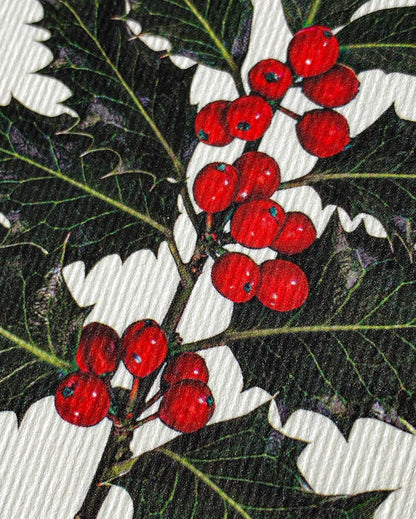 Christmas Holly