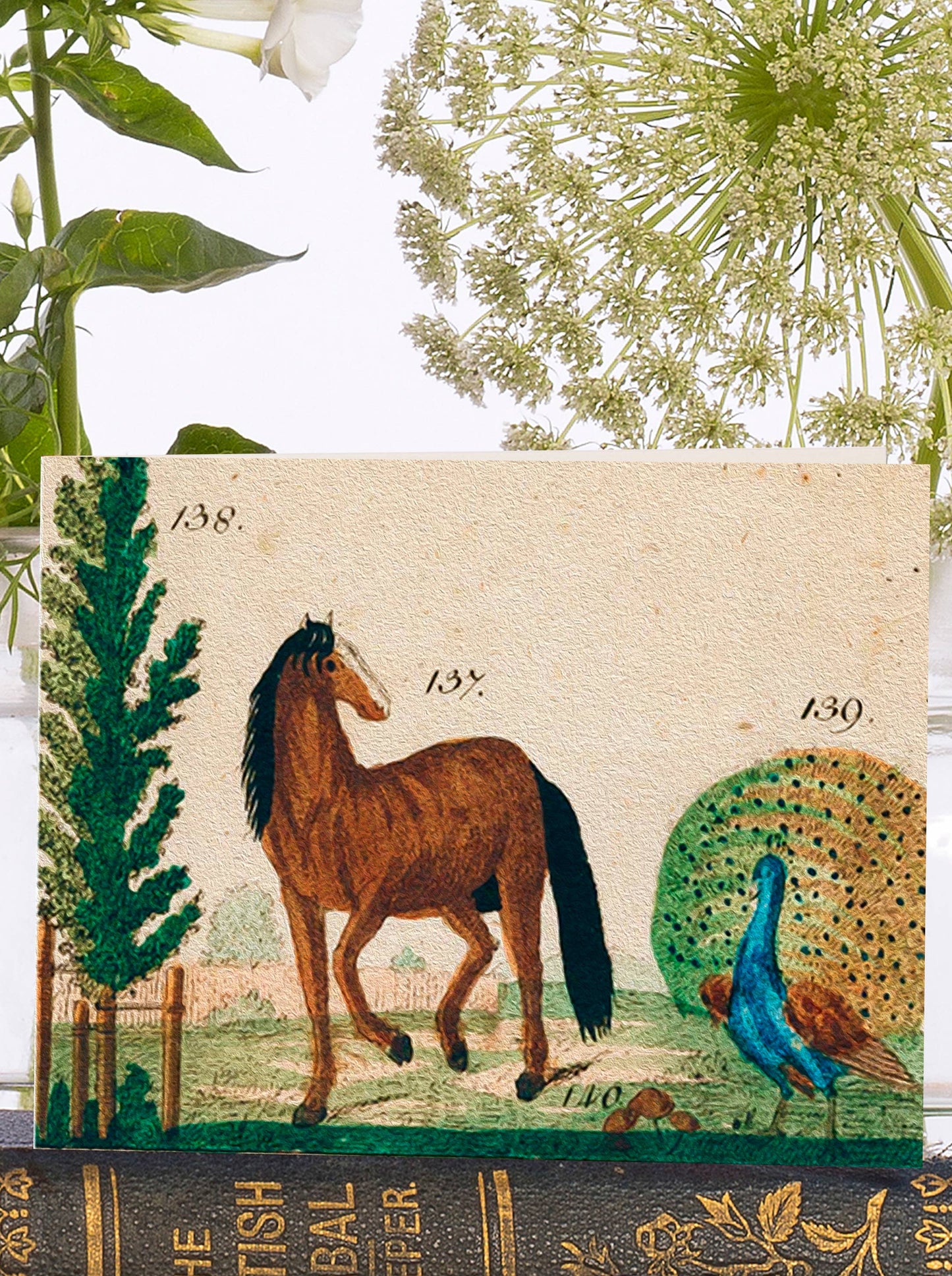 Tree, Horse, Peacock