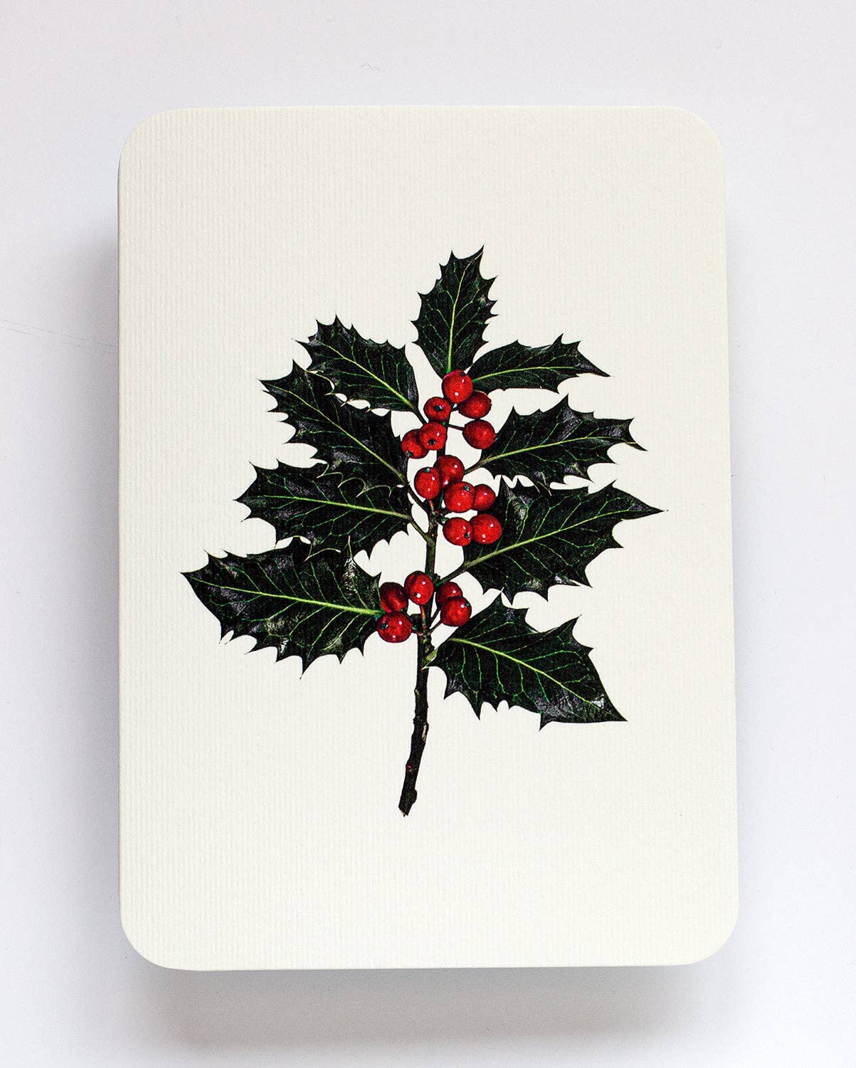 Christmas Holly