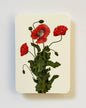 Wild Poppies